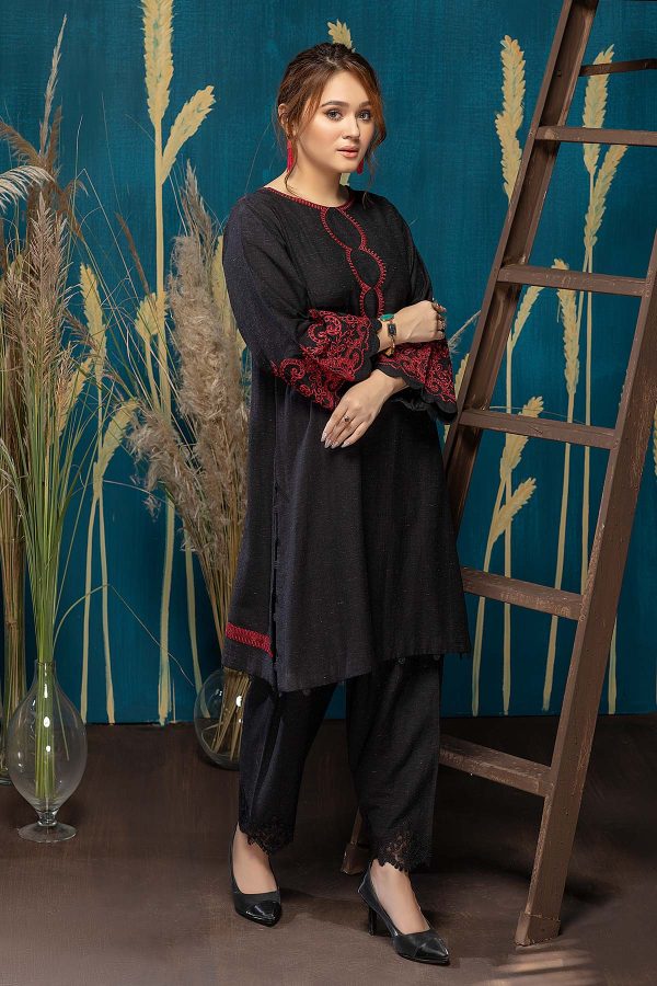 2 Pc Embroidered Karandi Silk CNP22-02